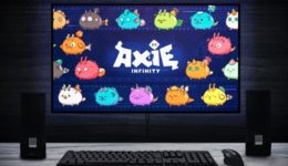 Axie Guides