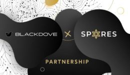 Blackdove - Spores - NFT Display Partners