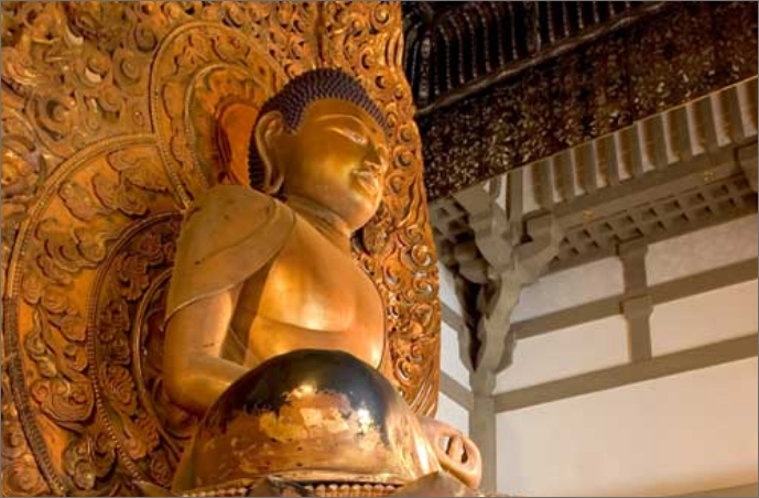 Amida Buddha Amida Buddha