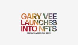 Gary Vee - NFT - VeeFriends - VeeCon