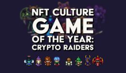 NFT Game of the year 2022 - crypto raiders