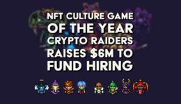 NFT Game of the year 2022 - crypto raiders