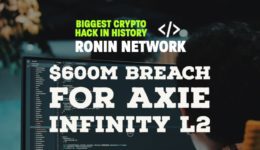 RONIN NETWORK HACK